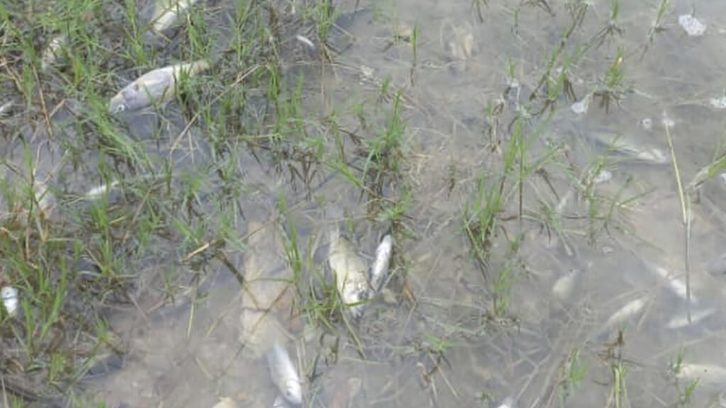 SINO-METALS PARTNERS WITH GOVT TO ASSESS AREAS AFFECTED BY RECENT ACIDIC POLLUTION