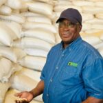 Zambia Concludes Maize Importation Initiative From Tanzania