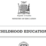 ZANEC, OTHERS PUSH FOR INCREASED ACCESS TO QUALITY ECE IN ZAMBIA