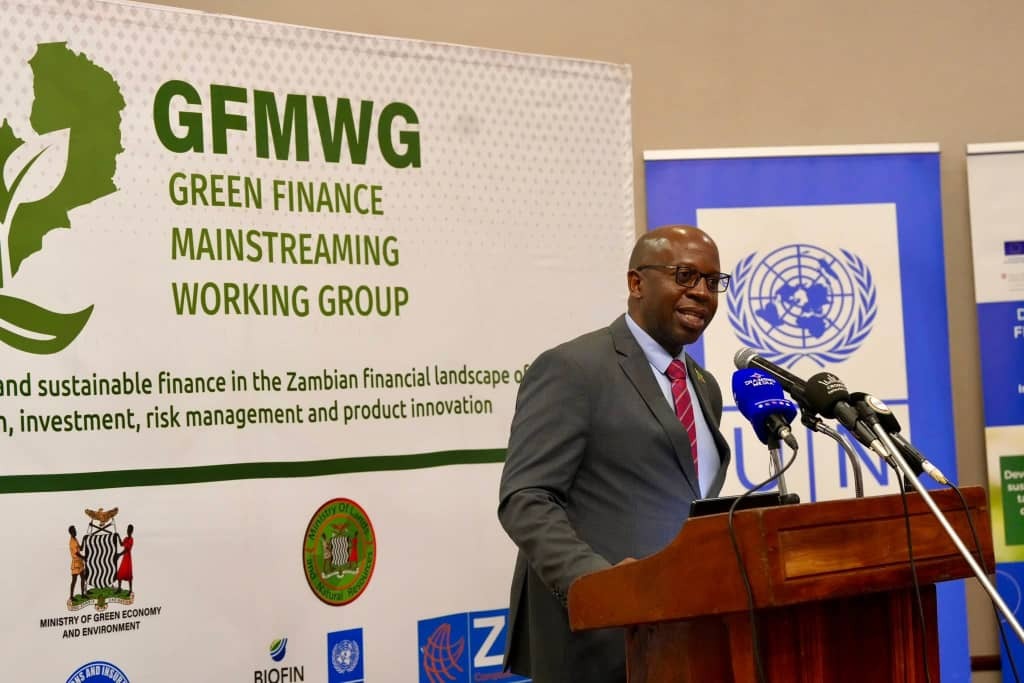 ZAMBIA BECOMES ONE OF FEW AFRICAN NATIONS TO DEVELOP GREEN FINANCE TAXONOMY