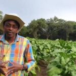 FARMER URGES LAW MAKERS TO RECONSIDER TOBACCO BILL