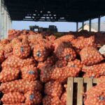 IMPORT WINDOW OPENS FOR ONIONS TO CURB SUPPLY SHORTFALL