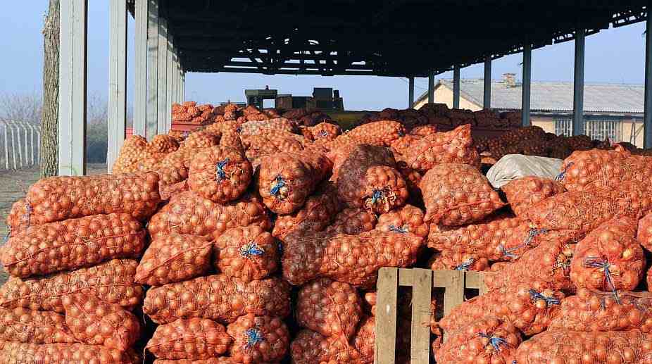 IMPORT WINDOW OPENS FOR ONIONS TO CURB SUPPLY SHORTFALL