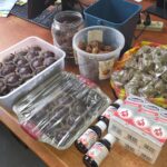 DEC, POLICE ARREST 36 SUSPECTS IN DRUG BUST AT LUSAKA MUSIC FESTIVAL